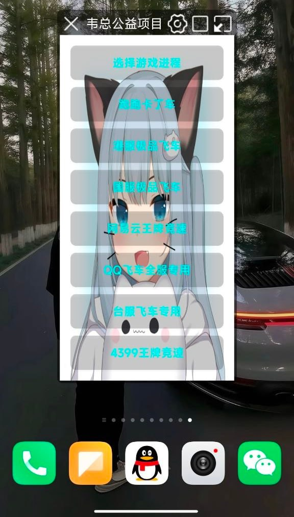 韦总公益飞车辅助_2.0.9.2 - 帖子图片2